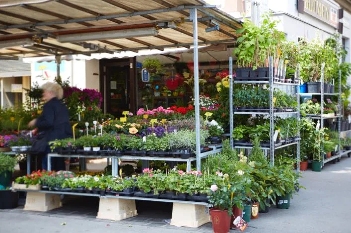 Blumenstand am Brunnenmarkt